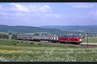 216 221_zwischen Walburg + Hess. Licht._31-05-1985_n Ks_letzte Fahrt_bearb1